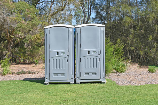 Best Lawn Pest Prevention  in Cuba City, WI